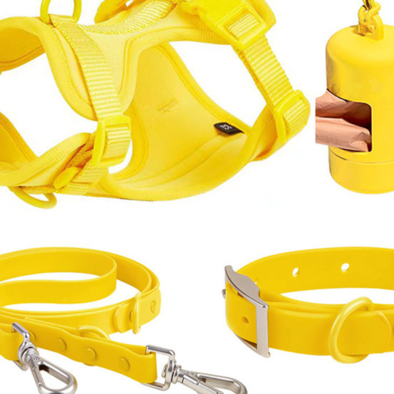 leash