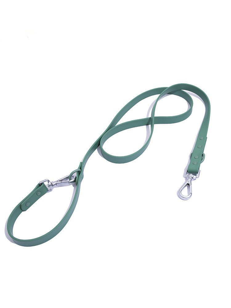 leash