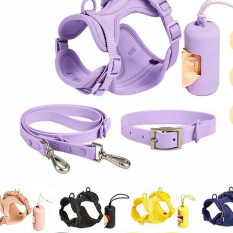 leash