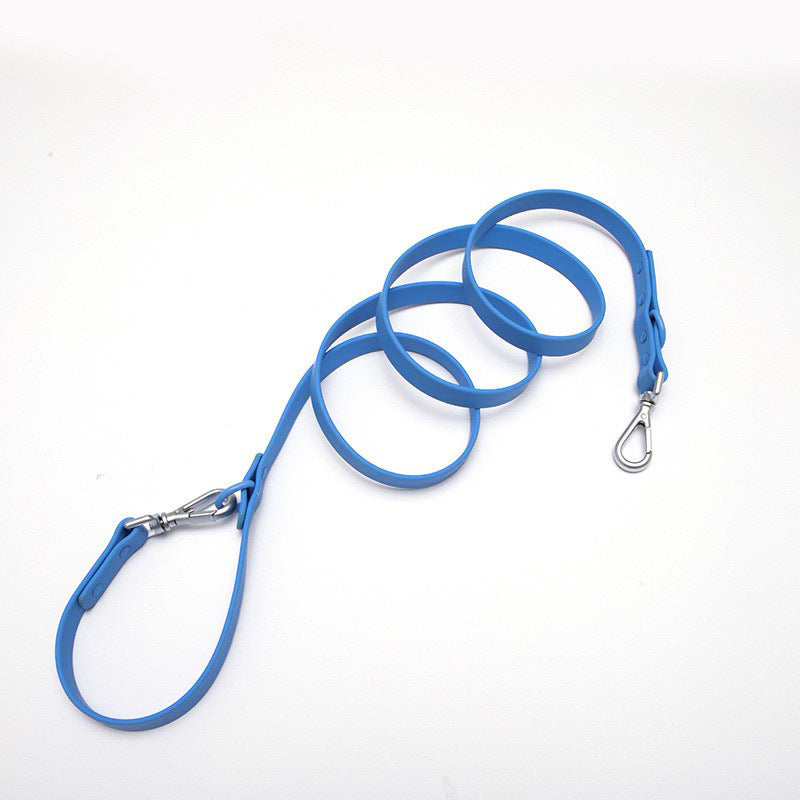 leash