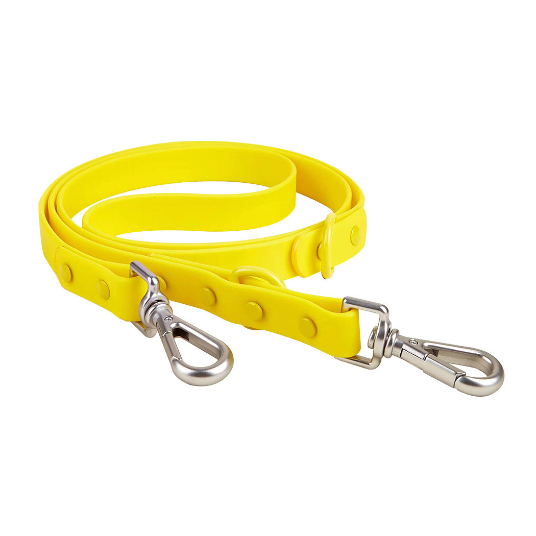 leash