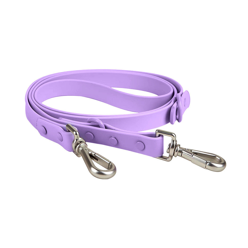 leash