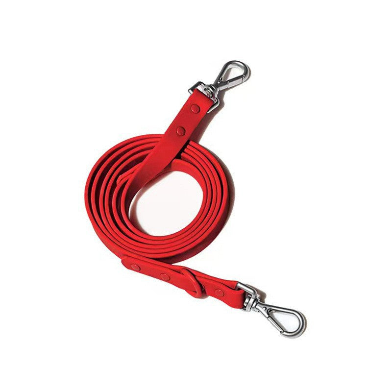 leash